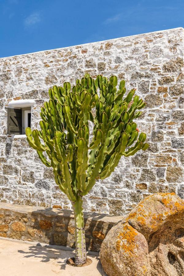 Villa Aurora Mykonos Villas Kalafatis